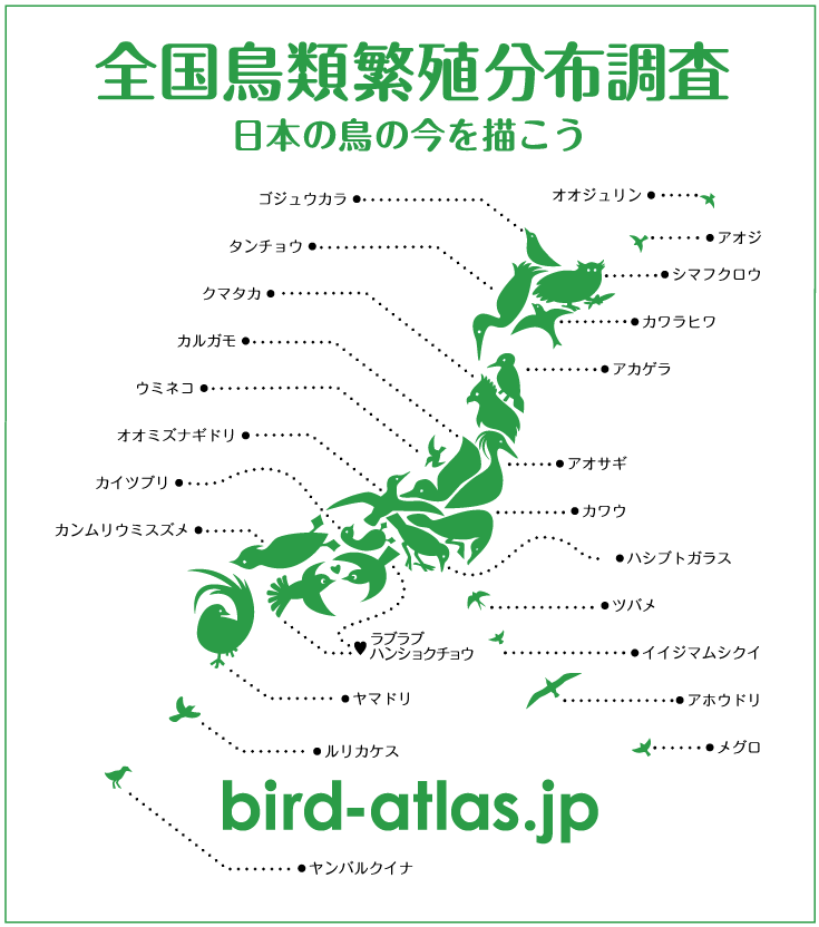 birdatras-jap