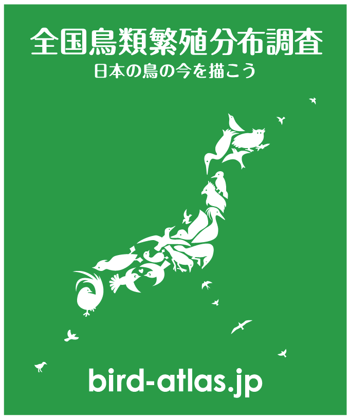 bird-atras.jp
